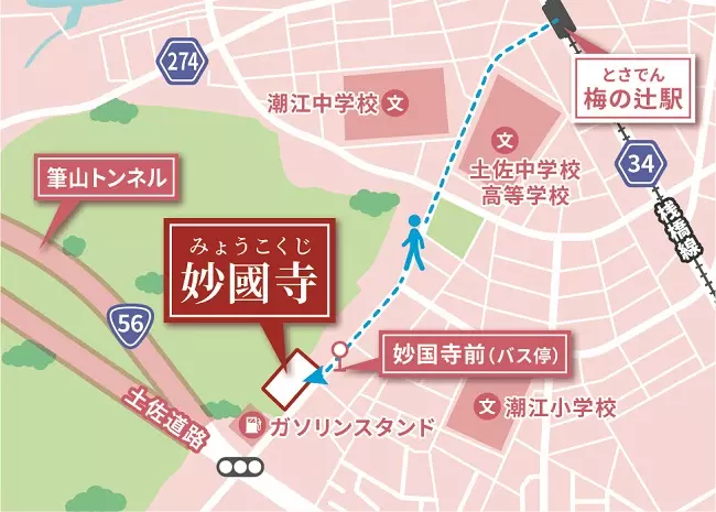土佐潮江庭園・妙國寺樹木葬_9