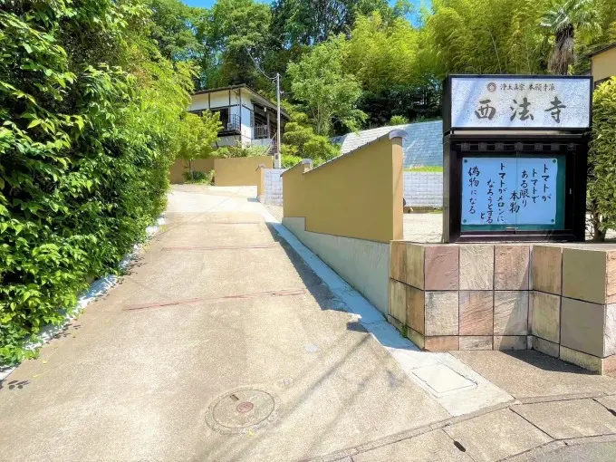 横浜青葉樹木葬 清風庭園 宝樹_5