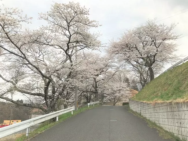 とみやの丘永代供養墓「桜月の碑」_3