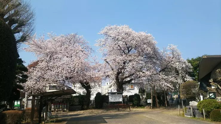 長覚院　樹木葬「きよらか」_5