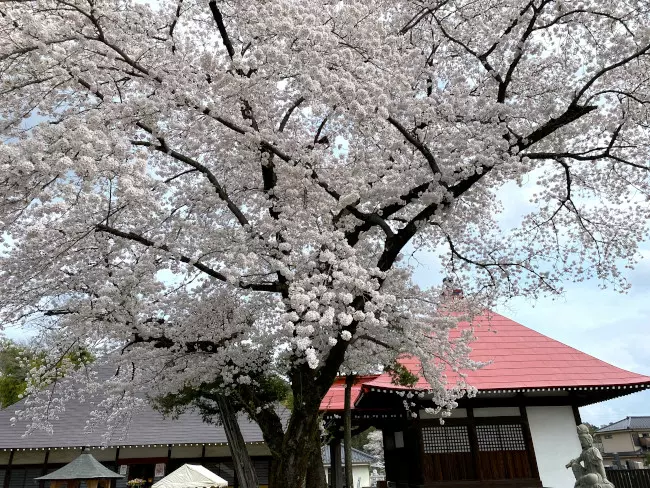 あきる野　西光寺樹木葬フラワージュ_3