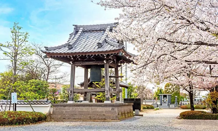 浄林寺　永代供養墓・樹木葬_14