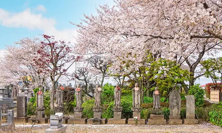 浄林寺　永代供養墓・樹木葬_11