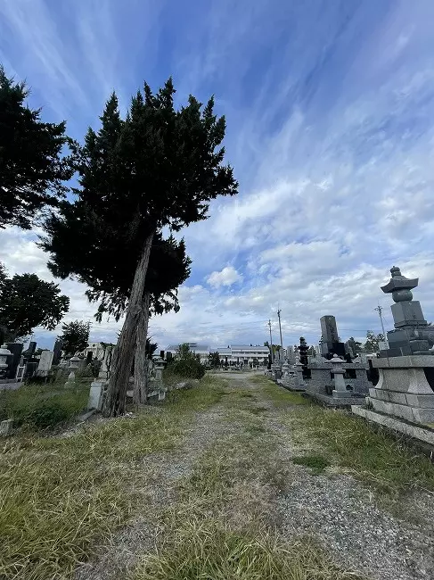 池田町墓地_2