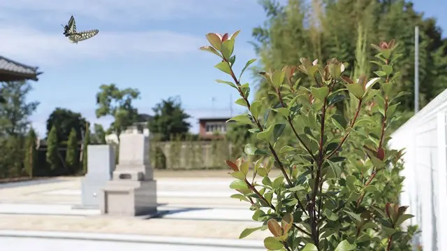 久喜　梨の郷霊園_2