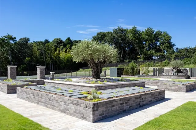 オリーブGardenユーカリ_6