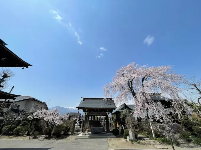 東光寺　樹木葬_4