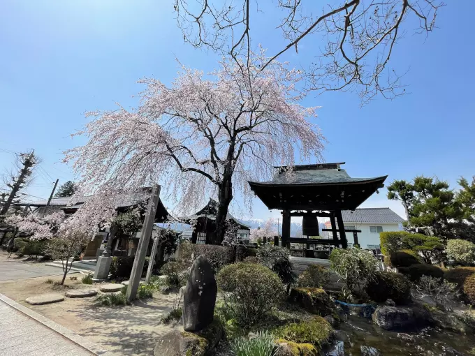 東光寺　樹木葬_7