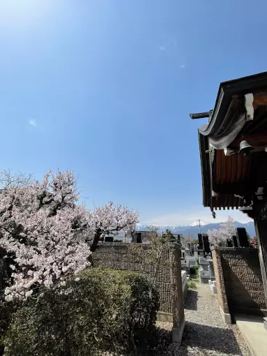 東光寺　樹木葬_8