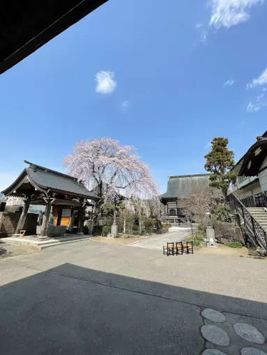 東光寺　樹木葬_6