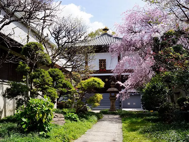 善龍寺墓地（史跡 口縄坂）_4