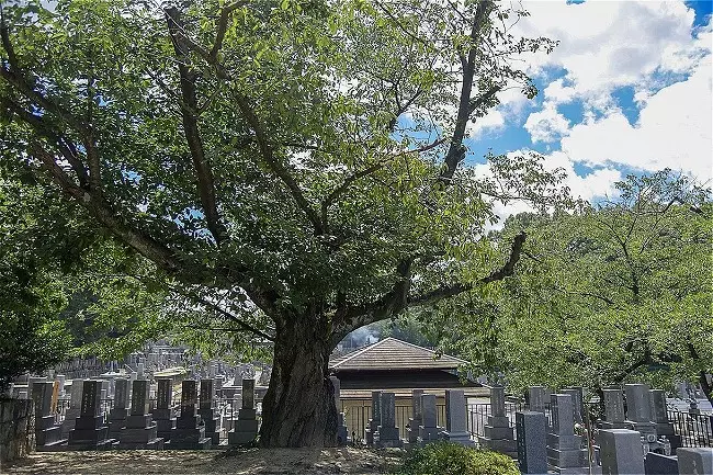 平和公園　清浄寺霊苑_7