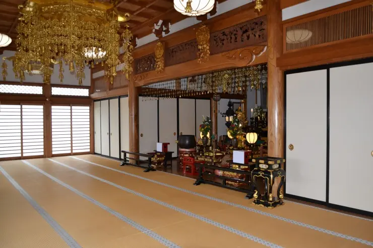 浦和こもれびの光_8