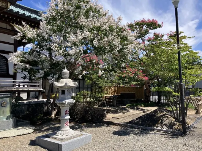 浦和こもれびの光_11