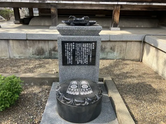 浦和こもれびの光_12