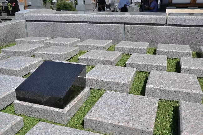 浦和こもれびの光_3