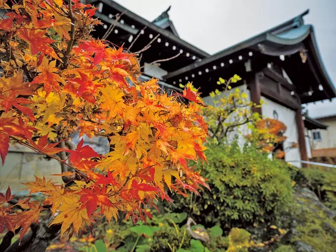 山形浄園　明善寺_6