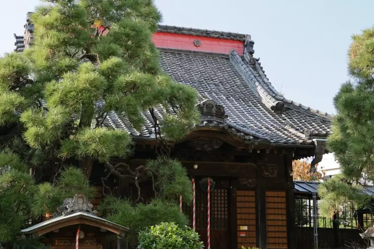 松戸永代供養墓霊園　善照寺_4
