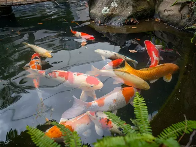 和歌山霊園　高野寺_4