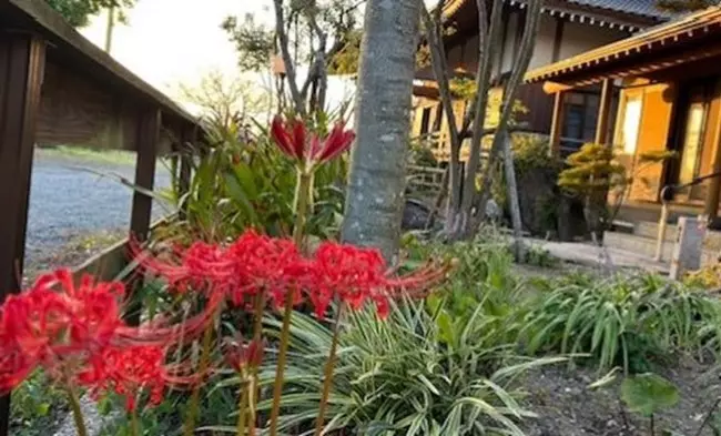 安正寺納骨堂「慈桜院」_7
