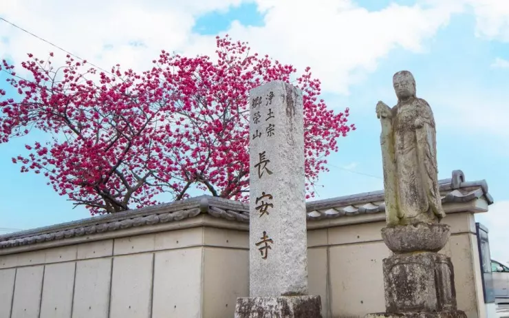 長安寺　永代供養墓・樹木葬_6