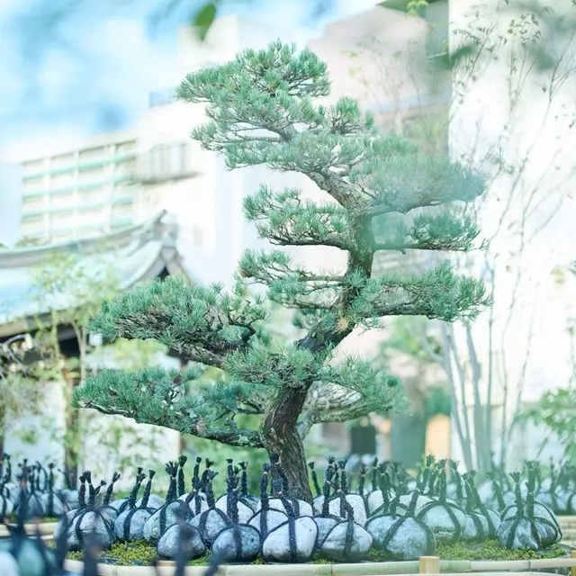 墨田区霊園 想盆_6