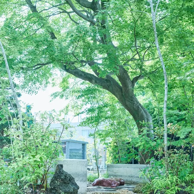 早稲田霊園 想咲手水_10
