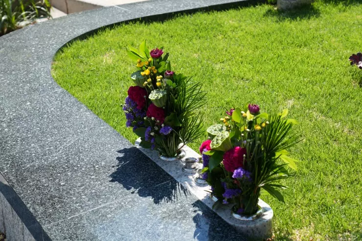 つむぎの森・幸國寺樹木葬_1