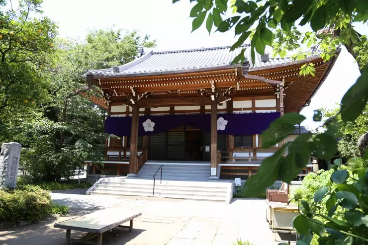 つむぎの森・幸國寺樹木葬_3
