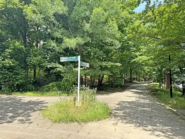 横浜やまた樹木葬墓地_9