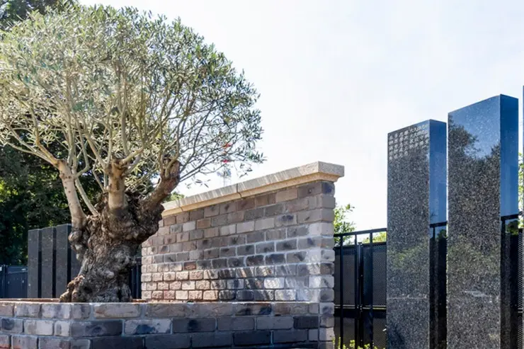 オリーブGarden船橋 樹木葬_5