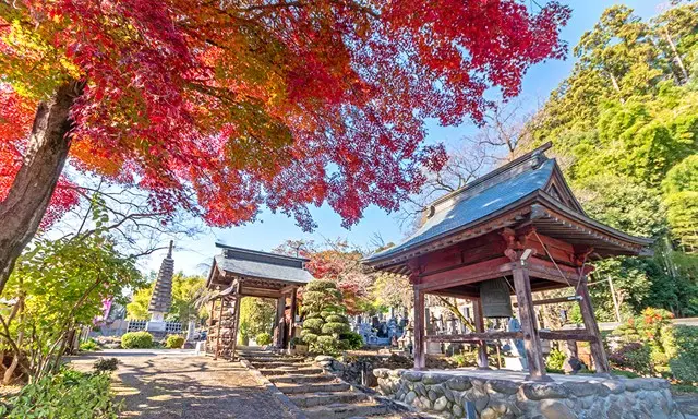 不動寺 永代供養墓・樹木葬_11