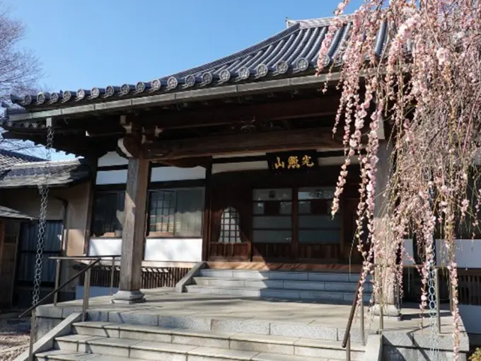 樹木葬 光照樹園_10