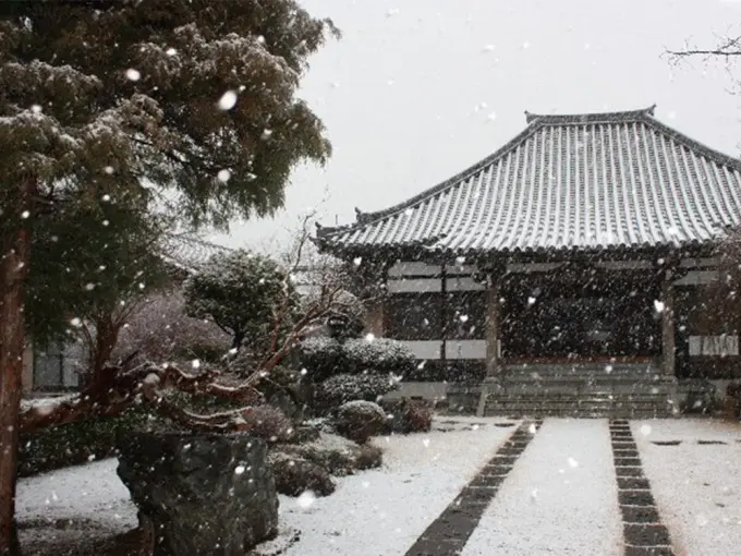 樹木葬 光照樹園_12