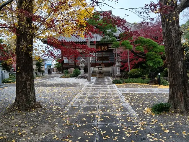 高雲寺樹木葬「やすらぎ」_2