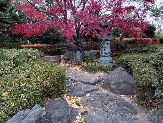 高雲寺樹木葬「やすらぎ」_4
