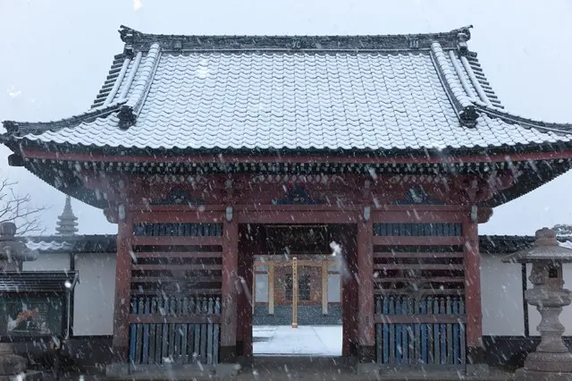 普門寺 家族墓「桔梗の郷」_6