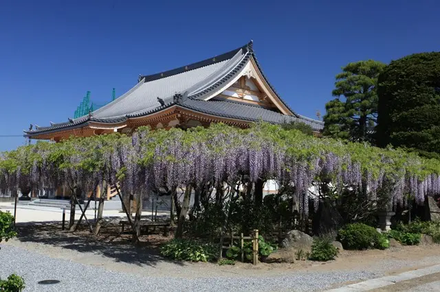 普門寺 家族墓「桔梗の郷」_9