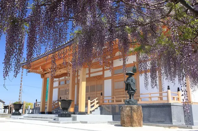 普門寺 家族墓「桔梗の郷」_6