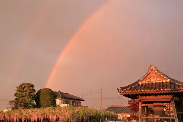 普門寺 家族墓「桔梗の郷」_7