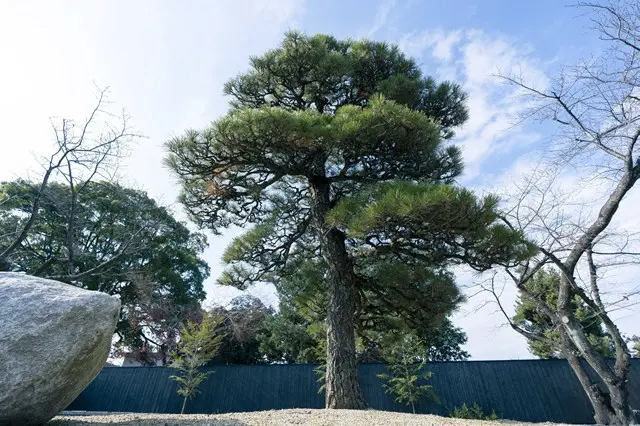 徳雲寺樹木葬 慈雲_12