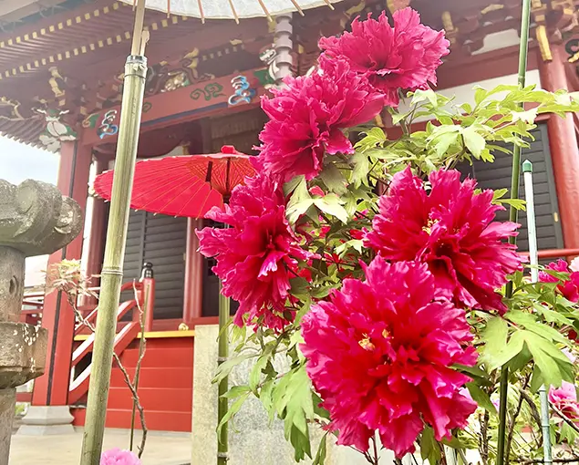 柏永代供養墓 吉祥院_4