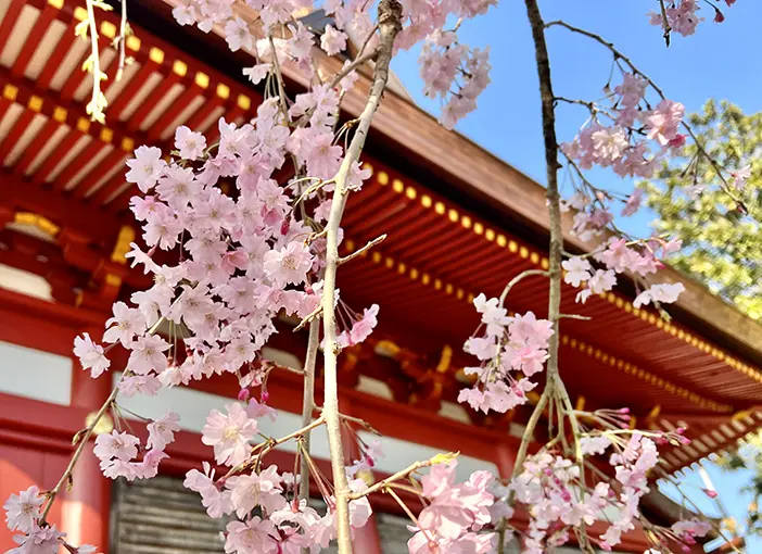 柏永代供養墓 吉祥院_3