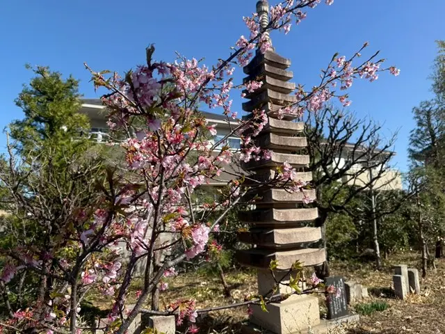 アーバン熊谷籠原樹木葬墓地_9