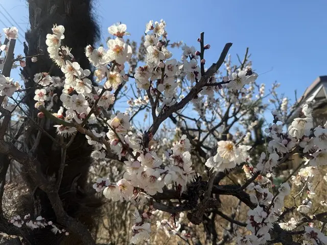 アーバン熊谷籠原樹木葬墓地_13