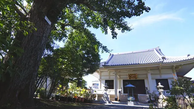 円光院樹木葬墓「想影」_6