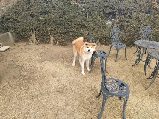 野田さくら樹木葬庭苑_14